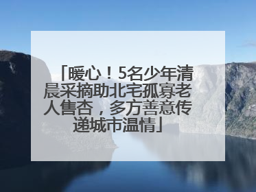 暖心！5名少年清晨采摘助北宅孤寡老人售杏，多方善意传递城市温情