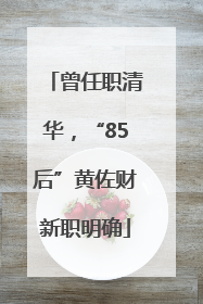 曾任职清华，“85后”黄佐财新职明确