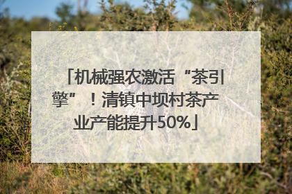 机械强农激活“茶引擎”！清镇中坝村茶产业产能提升50%