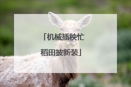 机械插秧忙 稻田披新装