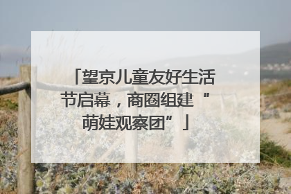 望京儿童友好生活节启幕，商圈组建“萌娃观察团”