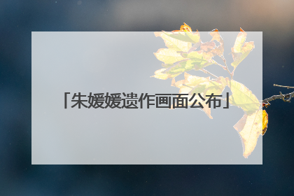 朱媛媛遗作画面公布