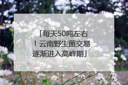 每天50吨左右！云南野生菌交易逐渐进入高峰期