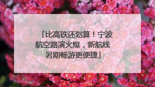 比高铁还划算！宁波航空路演火爆，新航线暑期畅游更便捷
