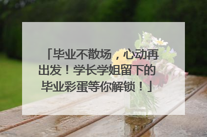 毕业不散场，心动再出发！学长学姐留下的毕业彩蛋等你解锁！
