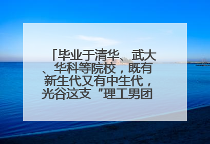 毕业于清华、武大、华科等院校，既有新生代又有中生代，光谷这支“理工男团”为何“出道”？