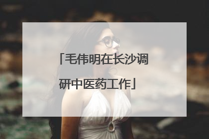 毛伟明在长沙调研中医药工作
