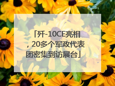 歼-10CE亮相，20多个军政代表团密集到访展台