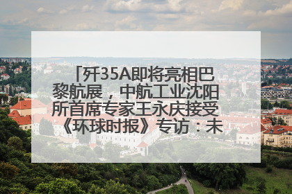 歼35A即将亮相巴黎航展，中航工业沈阳所首席专家王永庆接受《环球时报》专访：未来数量可以有很多