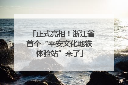 正式亮相！浙江省首个“平安文化地铁体验站”来了