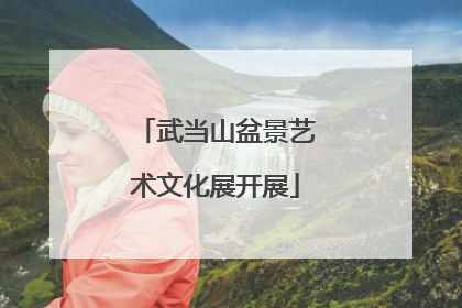 武当山盆景艺术文化展开展