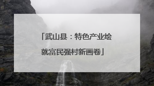 武山县：特色产业绘就富民强村新画卷
