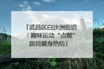 武昌区白沙洲街道：趣味运动“点燃”居民健身热情