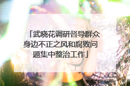 武晓花调研督导群众身边不正之风和腐败问题集中整治工作