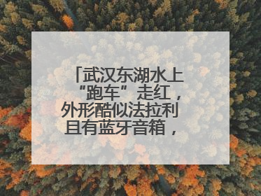 武汉东湖水上“跑车”走红，外形酷似法拉利且有蓝牙音箱，负责人：高峰期一两百人排队