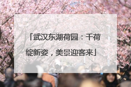 武汉东湖荷园：千荷绽新姿，美景迎客来