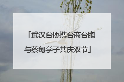 武汉台协携台商台胞与蔡甸学子共庆双节