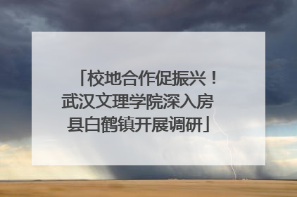 校地合作促振兴！武汉文理学院深入房县白鹤镇开展调研