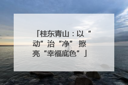 桂东青山：以“动”治“净” 擦亮“幸福底色”