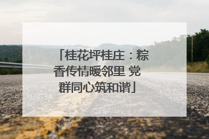 桂花坪桂庄：粽香传情暖邻里 党群同心筑和谐