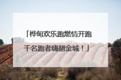 桦甸欢乐跑燃情开跑 千名跑者嗨翻金城！