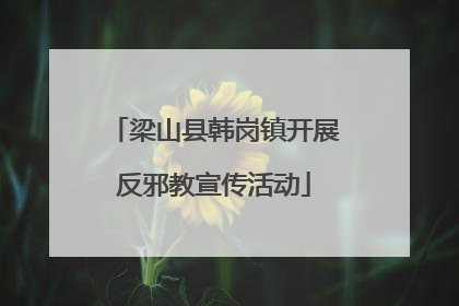 梁山县韩岗镇开展反邪教宣传活动