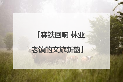 森铁回响 林业老镇的文旅新韵