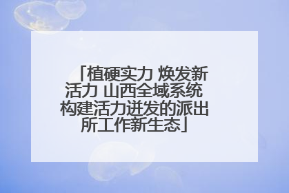 植硬实力 焕发新活力 山西全域系统构建活力迸发的派出所工作新生态