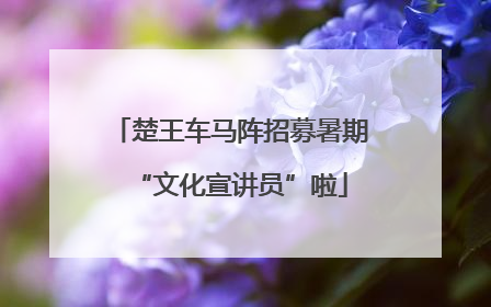 楚王车马阵招募暑期“文化宣讲员”啦
