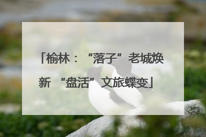 榆林：“落子”老城焕新 “盘活”文旅蝶变