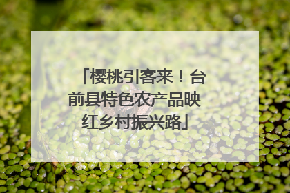 樱桃引客来！台前县特色农产品映红乡村振兴路