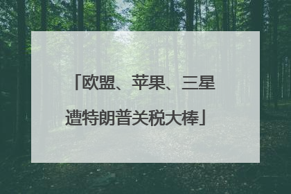 欧盟、苹果、三星遭特朗普关税大棒
