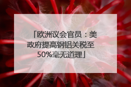 欧洲议会官员：美政府提高钢铝关税至50%毫无道理