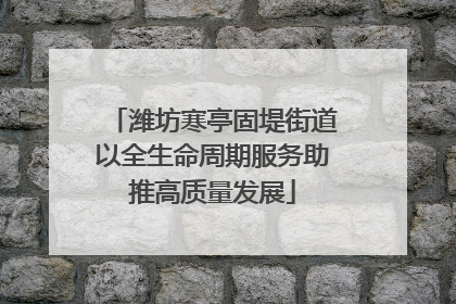 潍坊寒亭固堤街道以全生命周期服务助推高质量发展