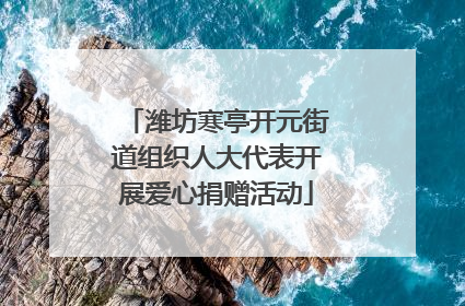 潍坊寒亭开元街道组织人大代表开展爱心捐赠活动