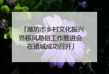 潍坊市乡村文化振兴暨移风易俗工作推进会在诸城成功召开