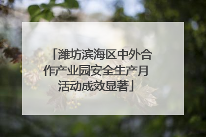 潍坊滨海区中外合作产业园安全生产月活动成效显著