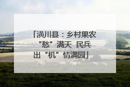 潢川县：乡村果农“愁”满天  民兵出“机”情满园