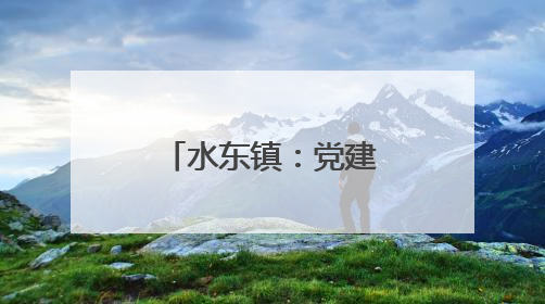 水东镇：党建引领齐上阵 凝心聚力焕新颜