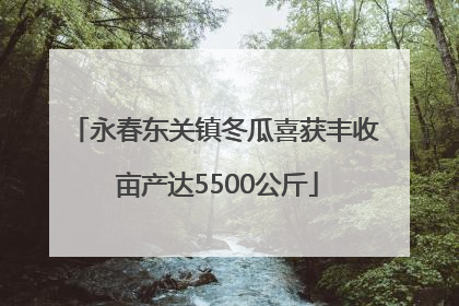 永春东关镇冬瓜喜获丰收 亩产达5500公斤
