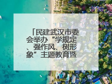 民建武汉市委会举办“学规定、强作风、树形象”主题教育暨参政议政能力素质提升培训班
