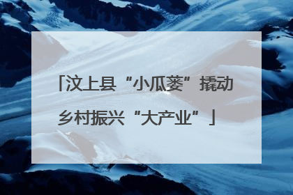汶上县“小瓜蒌”撬动乡村振兴“大产业”