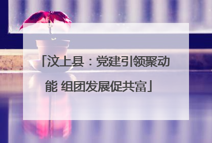 汶上县：党建引领聚动能 组团发展促共富