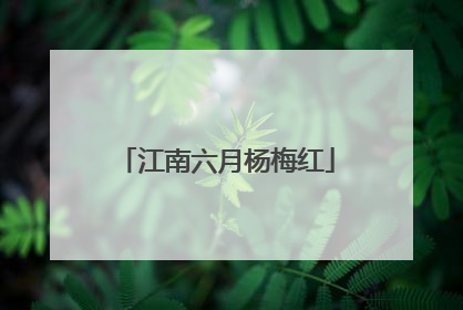 江南六月杨梅红