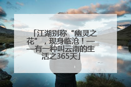 江湖别称“幽灵之花”，现身临沧！——有一种叫云南的生活之365天