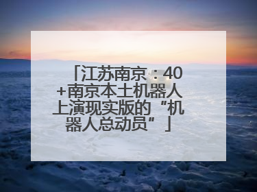 江苏南京：40+南京本土机器人上演现实版的“机器人总动员”