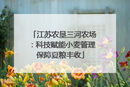 江苏农垦三河农场：科技赋能小麦管理保障夏粮丰收