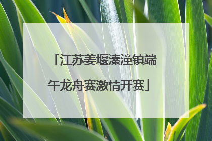 江苏姜堰溱潼镇端午龙舟赛激情开赛