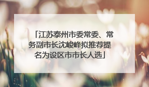 江苏泰州市委常委、常务副市长沈峻峰拟推荐提名为设区市市长人选