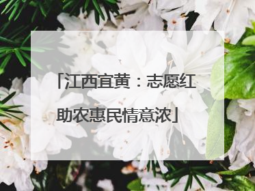 江西宜黄：志愿红助农惠民情意浓